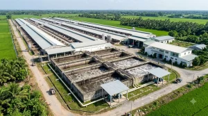 Hệ thống xử lý nước thải trại heo đạt QCVN 62:2016/BTNMT do ATL thi công